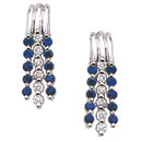 Gem Stone Earrings